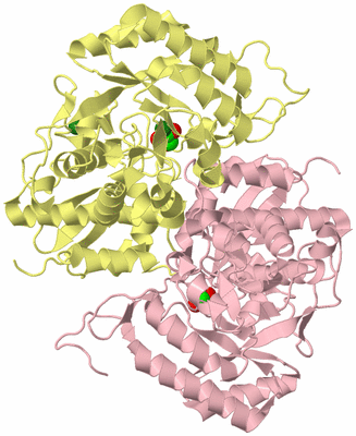 Image Biological Unit 2