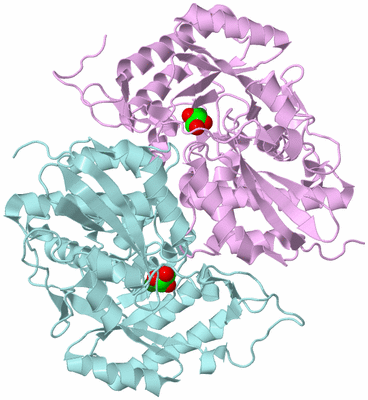 Image Biological Unit 3