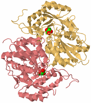 Image Biological Unit 4