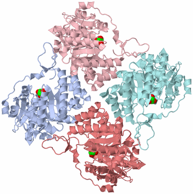 Image Biological Unit 6