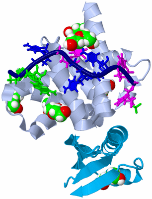 Image Biological Unit 1