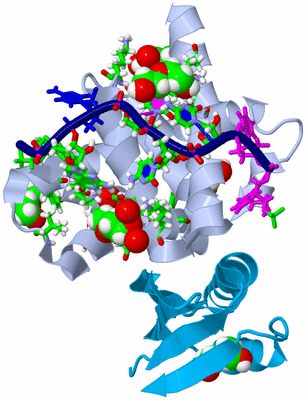 Image Biol. Unit 1 - sites