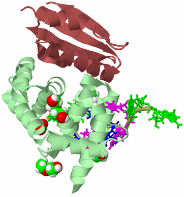 Image Biological Unit 2