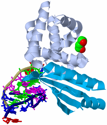 Image Biological Unit 1