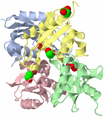 Image Asym./Biol. Unit