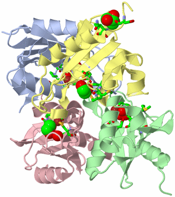 Image Asym./Biol. Unit - sites