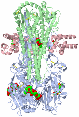 Image Biological Unit 1