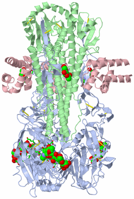 Image Biol. Unit 1 - sites