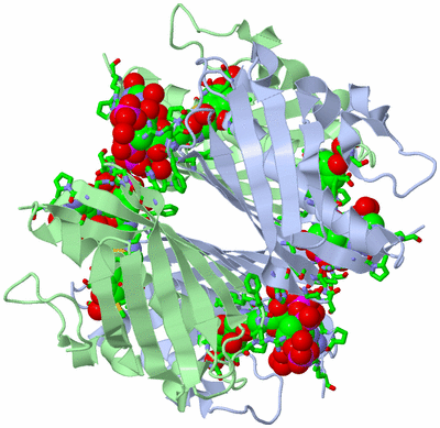 Image Biol. Unit 1 - sites