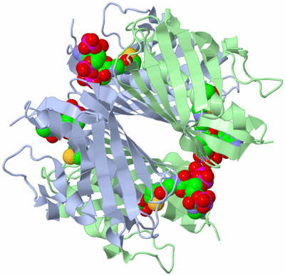 Image Biological Unit 1