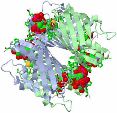 Image Biol. Unit 1 - sites