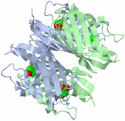 Image Biological Unit 1