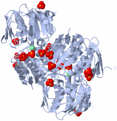 Image Biological Unit 1