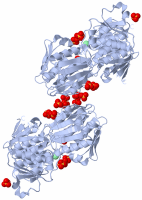 Image Biological Unit 2