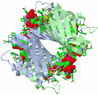 Image Biol. Unit 1 - sites