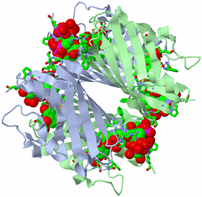 Image Biol. Unit 1 - sites