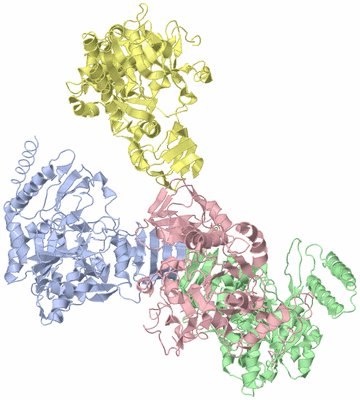 Image Biological Unit 1