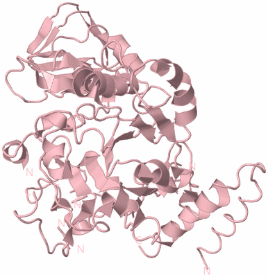 Image Biological Unit 4