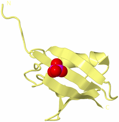 Image Biological Unit 4