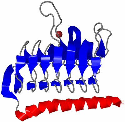 Image Asymmetric Unit