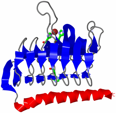 Image Asym. Unit - sites