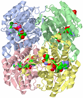 Image Asym./Biol. Unit