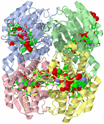 Image Asym./Biol. Unit - sites