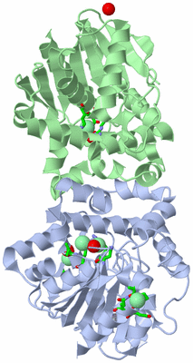 Image Asym./Biol. Unit - sites