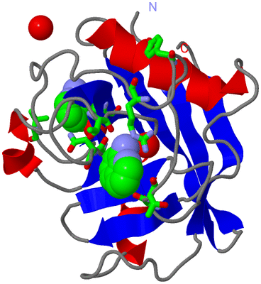 Image Asym./Biol. Unit - sites