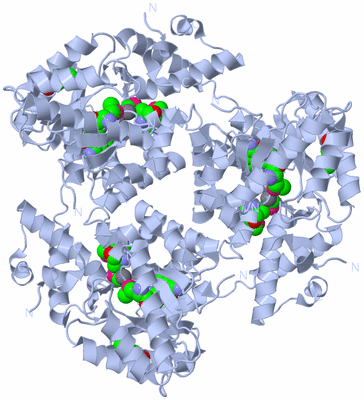 Image Biological Unit 1