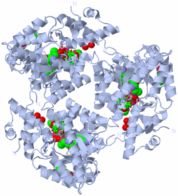 Image Biol. Unit 1 - sites