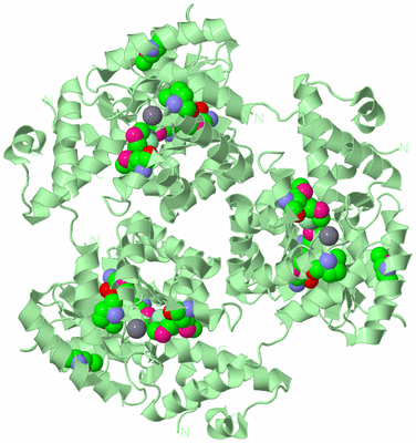 Image Biological Unit 2