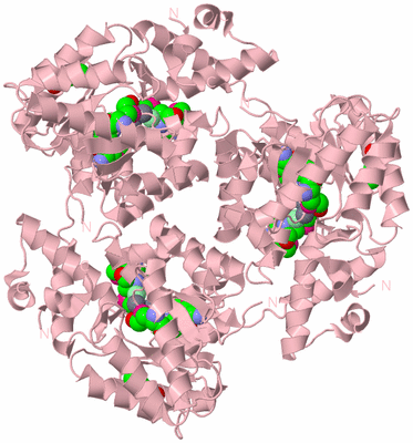 Image Biological Unit 3