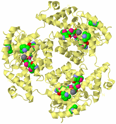 Image Biological Unit 4