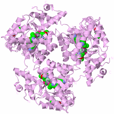 Image Biological Unit 5