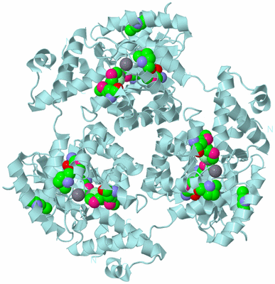 Image Biological Unit 6