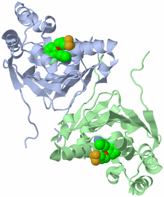 Image Biological Unit 3