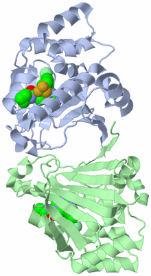 Image Biological Unit 3