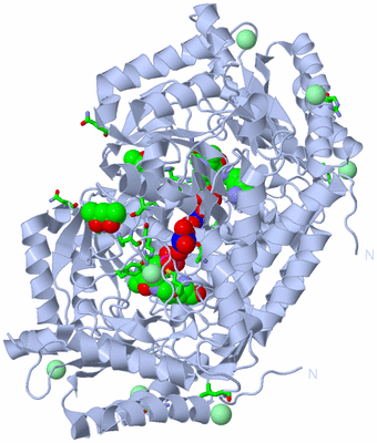 Image Biol. Unit 1 - sites