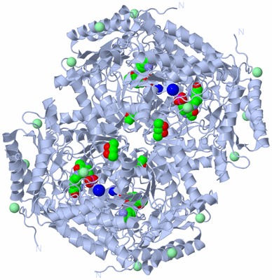 Image Biological Unit 2