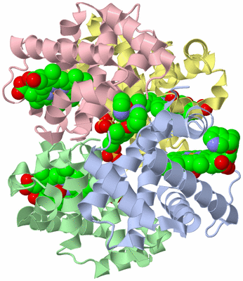 Image Asym./Biol. Unit