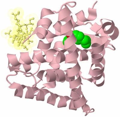 Image Biological Unit 2