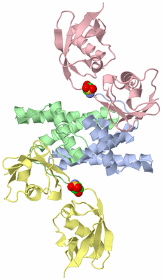 Image Asym./Biol. Unit