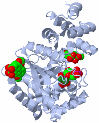 Image Biological Unit 1