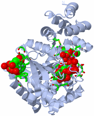 Image Biol. Unit 1 - sites