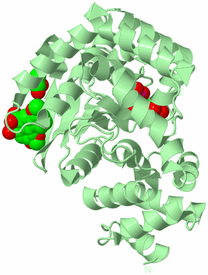 Image Biological Unit 2