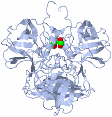 Image Biological Unit 1