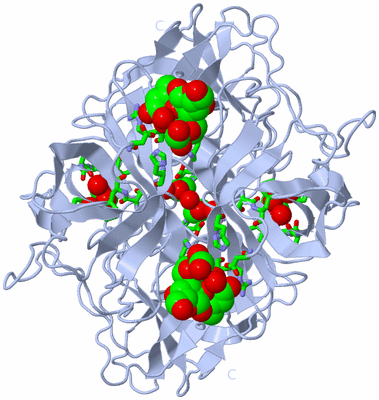 Image Biol. Unit 1 - sites