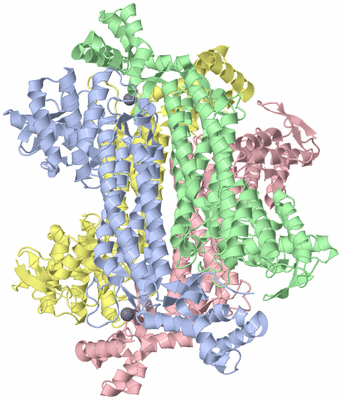 Image Biological Unit 1