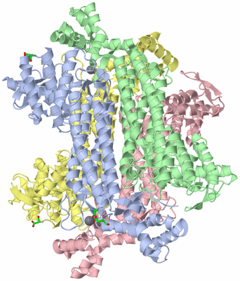 Image Biol. Unit 1 - sites